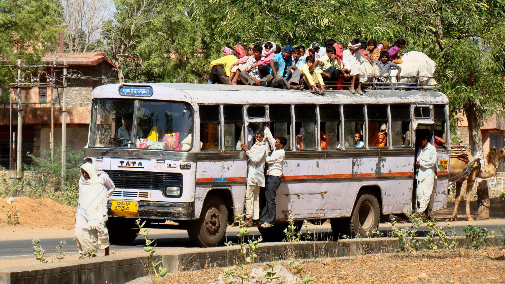 Seed Watered with Blood – The Story of a Pastor Murdered in the Persecution in Orissa